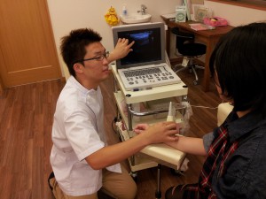 超音波観察の様子
